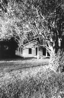 Cottage Grove at Midnight
