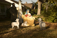 White Lamb Nativity