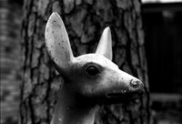Photo_1117