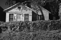 Evelyn's House