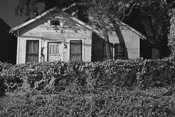 Evelyn's House