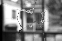 House with Broken Glass